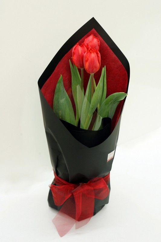 Red Tulips