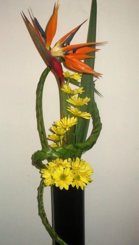 Orinoco Arrangement