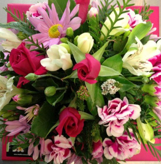 Standard Mahana Arrangement Closeup