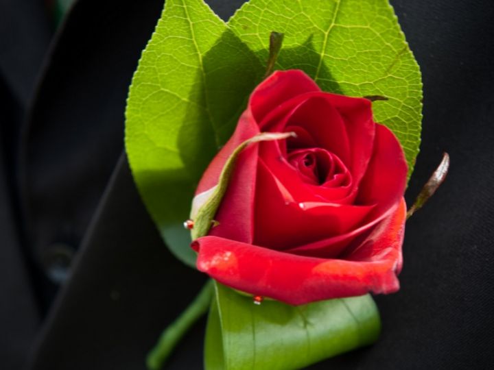 Red Rose Button Hole