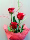Three Valentine Roses
